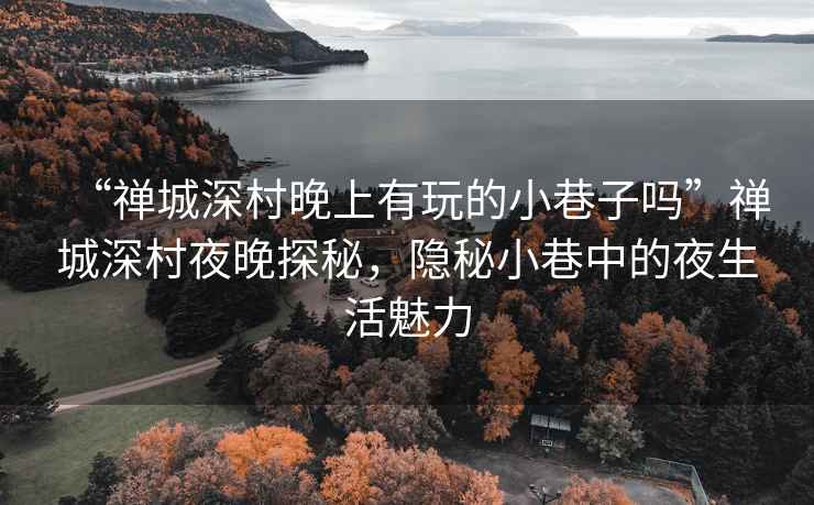 “禪城深村晚上有玩的小巷子嗎”禪城深村夜晚探秘，隱秘小巷中的夜生活魅力