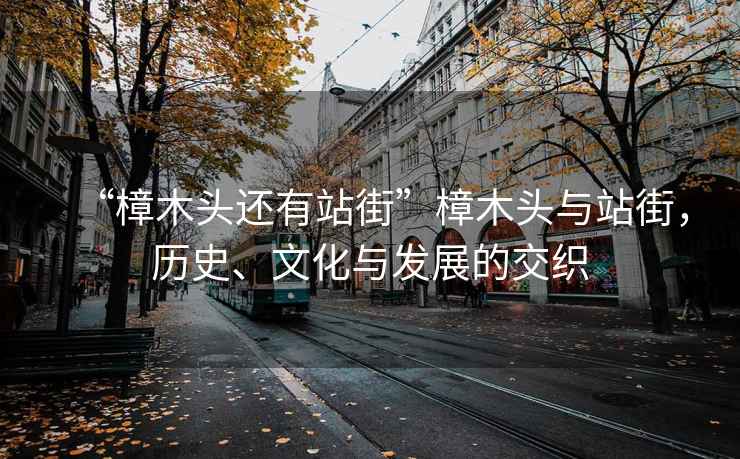 “樟木頭還有站街”樟木頭與站街，歷史、文化與發(fā)展的交織