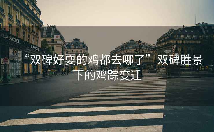“雙碑好耍的雞都去哪了”雙碑勝景下的雞蹤變遷