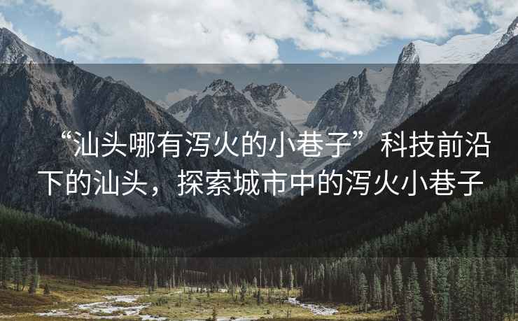 “汕頭哪有瀉火的小巷子”科技前沿下的汕頭，探索城市中的瀉火小巷子