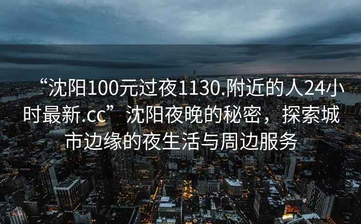 “沈陽100元過夜1130.附近的人24小時最新.cc”沈陽夜晚的秘密，探索城市邊緣的夜生活與周邊服務(wù)