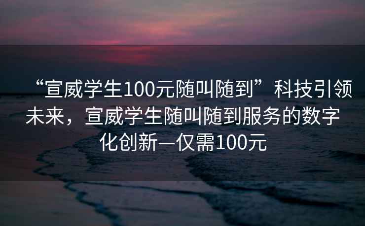“宣威學生100元隨叫隨到”科技引領未來，宣威學生隨叫隨到服務的數(shù)字化創(chuàng)新—僅需100元