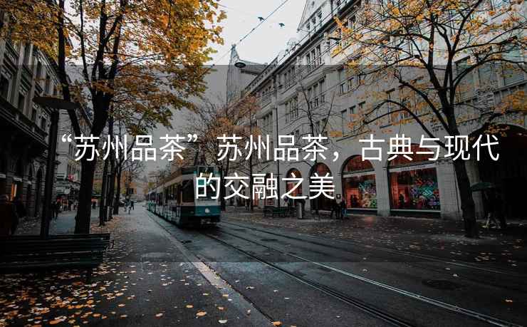 “蘇州品茶”蘇州品茶，古典與現(xiàn)代的交融之美