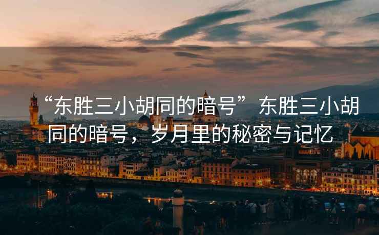“東勝三小胡同的暗號(hào)”東勝三小胡同的暗號(hào)，歲月里的秘密與記憶