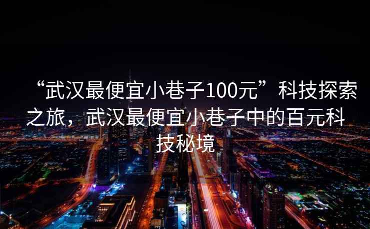 “武漢最便宜小巷子100元”科技探索之旅，武漢最便宜小巷子中的百元科技秘境