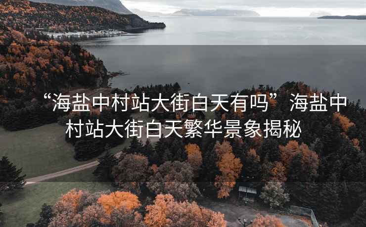 “海鹽中村站大街白天有嗎”海鹽中村站大街白天繁華景象揭秘