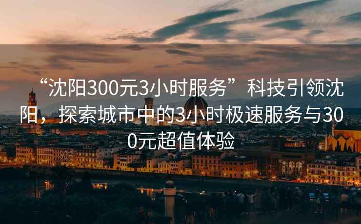 “沈陽300元3小時服務(wù)”科技引領(lǐng)沈陽，探索城市中的3小時極速服務(wù)與300元超值體驗