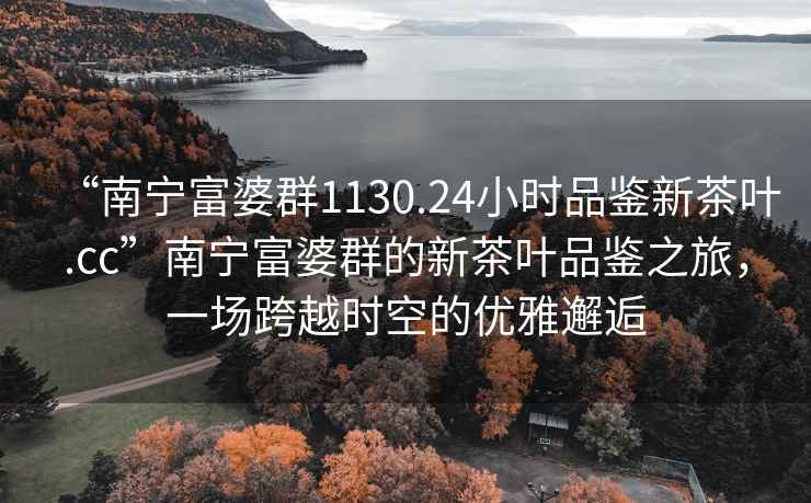 “南寧富婆群1130.24小時品鑒新茶葉.cc”南寧富婆群的新茶葉品鑒之旅，一場跨越時空的優(yōu)雅邂逅