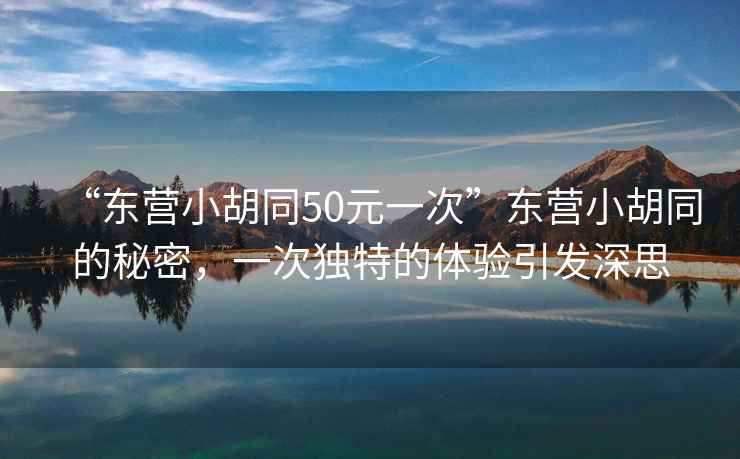 “東營小胡同50元一次”東營小胡同的秘密，一次獨特的體驗引發(fā)深思