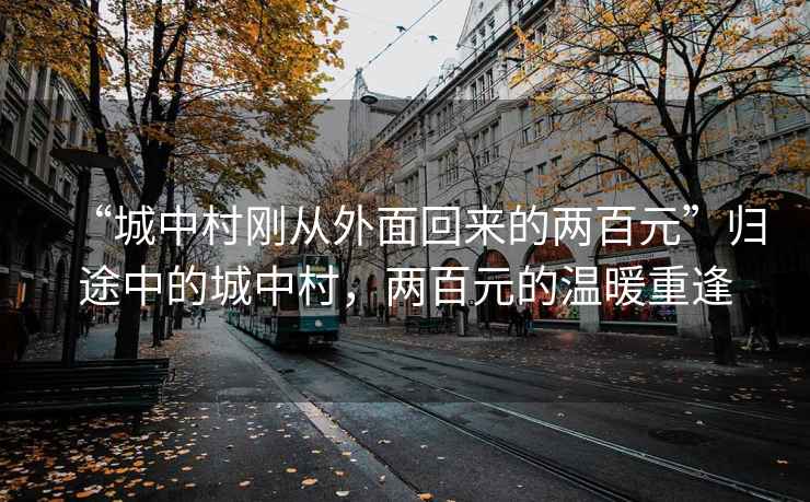 “城中村剛從外面回來(lái)的兩百元”歸途中的城中村，兩百元的溫暖重逢