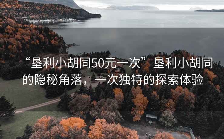 “墾利小胡同50元一次”墾利小胡同的隱秘角落，一次獨(dú)特的探索體驗(yàn)