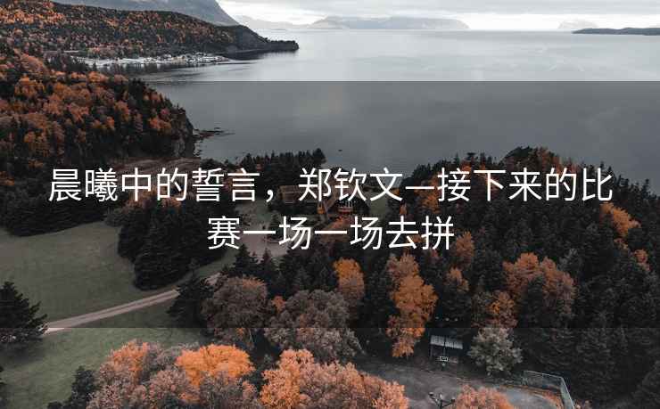 晨曦中的誓言，鄭欽文—接下來的比賽一場一場去拼