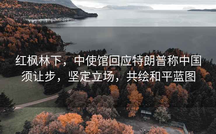 紅楓林下，中使館回應特朗普稱中國須讓步，堅定立場，共繪和平藍圖