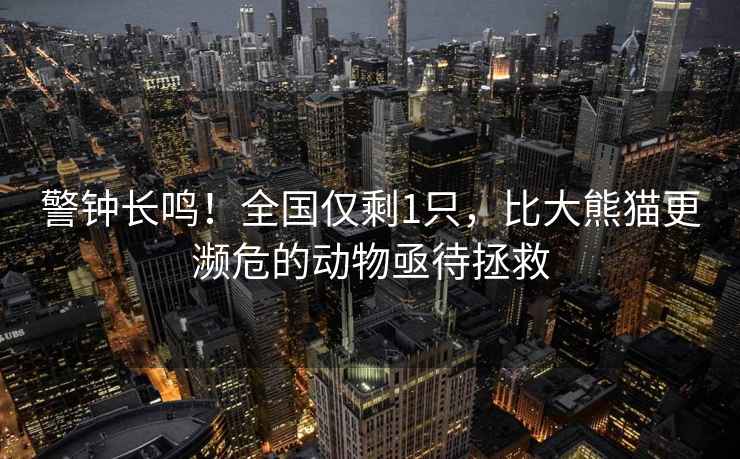 警鐘長鳴！全國僅剩1只，比大熊貓更瀕危的動物亟待拯救