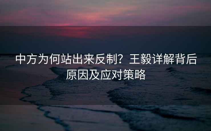 中方為何站出來反制？王毅詳解背后原因及應對策略