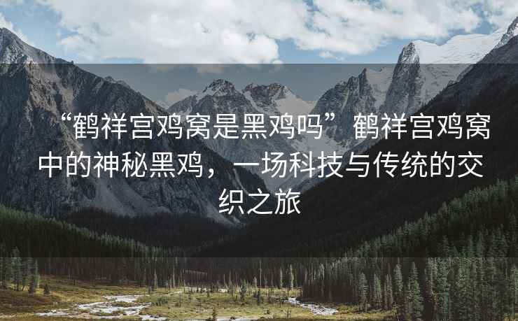 “鶴祥宮雞窩是黑雞嗎”鶴祥宮雞窩中的神秘黑雞，一場(chǎng)科技與傳統(tǒng)的交織之旅