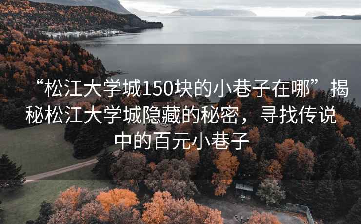 “松江大學(xué)城150塊的小巷子在哪”揭秘松江大學(xué)城隱藏的秘密，尋找傳說中的百元小巷子