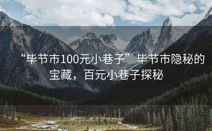 “畢節(jié)市100元小巷子”畢節(jié)市隱秘的寶藏，百元小巷子探秘