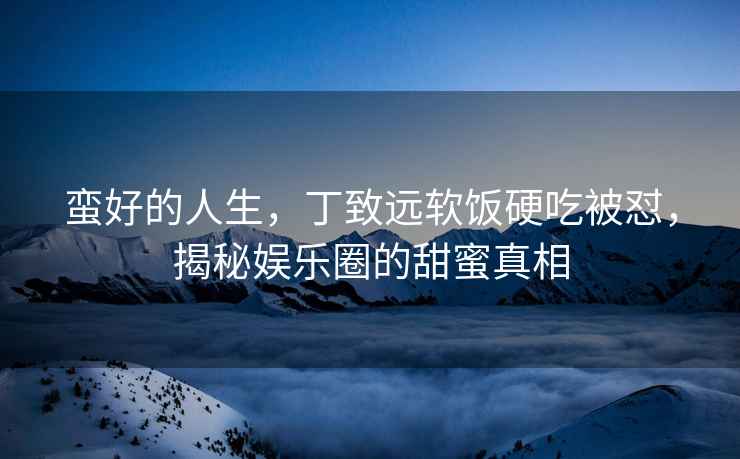 蠻好的人生，丁致遠(yuǎn)軟飯硬吃被懟，揭秘娛樂(lè)圈的甜蜜真相