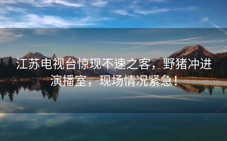 江蘇電視臺(tái)驚現(xiàn)不速之客，野豬沖進(jìn)演播室，現(xiàn)場(chǎng)情況緊急！