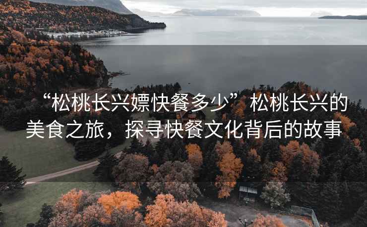 “松桃長(zhǎng)興嫖快餐多少”松桃長(zhǎng)興的美食之旅，探尋快餐文化背后的故事