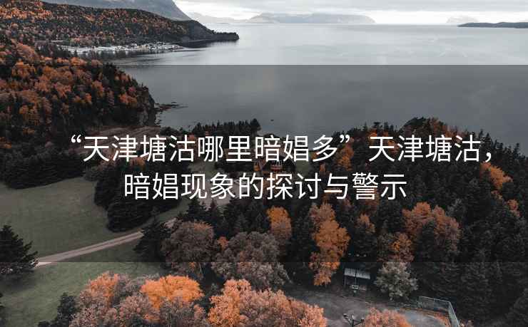 “天津塘沽哪里暗娼多”天津塘沽，暗娼現(xiàn)象的探討與警示