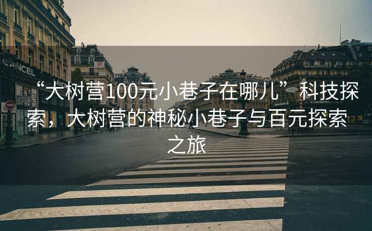 “大樹營100元小巷子在哪兒”科技探索，大樹營的神秘小巷子與百元探索之旅