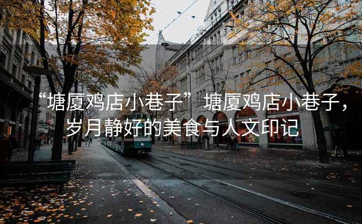 “塘廈雞店小巷子”塘廈雞店小巷子，歲月靜好的美食與人文印記