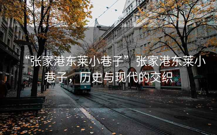 “張家港東萊小巷子”張家港東萊小巷子，歷史與現(xiàn)代的交織