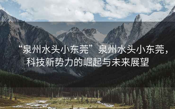 “泉州水頭小東莞”泉州水頭小東莞，科技新勢力的崛起與未來展望