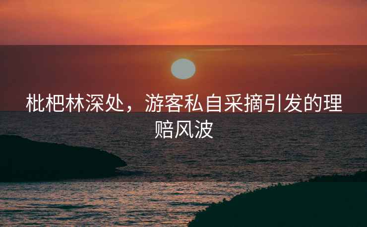 枇杷林深處，游客私自采摘引發(fā)的理賠風(fēng)波
