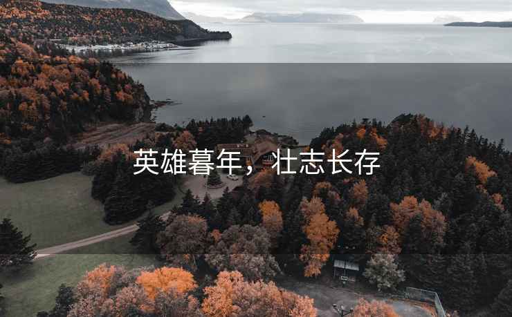 英雄暮年，壯志長存