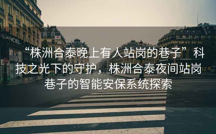 “株洲合泰晚上有人站崗的巷子”科技之光下的守護，株洲合泰夜間站崗巷子的智能安保系統(tǒng)探索