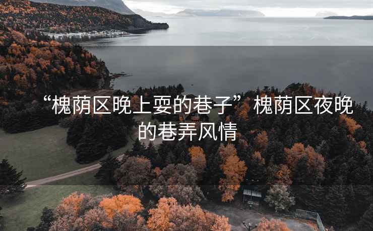 “槐蔭區(qū)晚上耍的巷子”槐蔭區(qū)夜晚的巷弄風(fēng)情