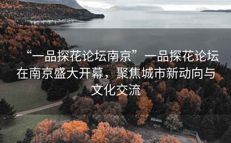 “一品探花論壇南京”一品探花論壇在南京盛大開幕，聚焦城市新動向與文化交流