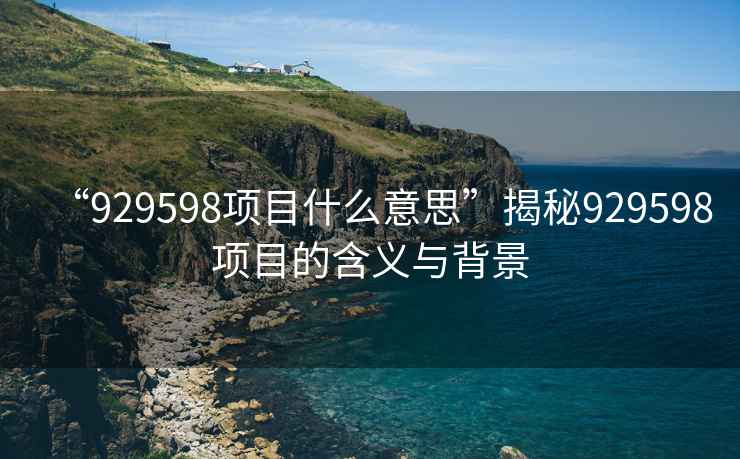“929598項目什么意思”揭秘929598項目的含義與背景