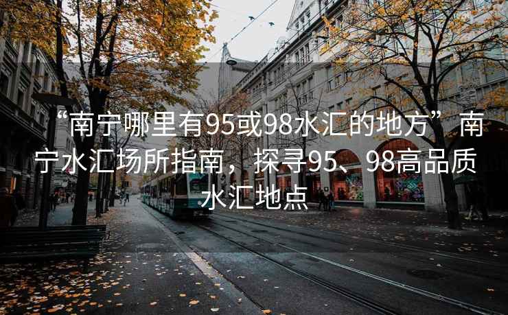 “南寧哪里有95或98水匯的地方”南寧水匯場所指南，探尋95、98高品質水匯地點