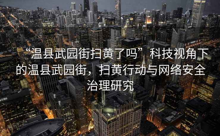 “溫縣武園街掃黃了嗎”科技視角下的溫縣武園街，掃黃行動與網(wǎng)絡安全治理研究