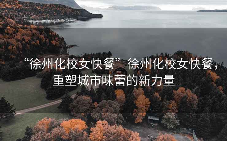 “徐州化校女快餐”徐州化校女快餐，重塑城市味蕾的新力量