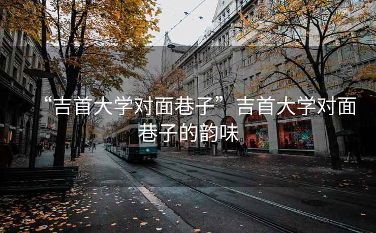 “吉首大學對面巷子”吉首大學對面巷子的韻味