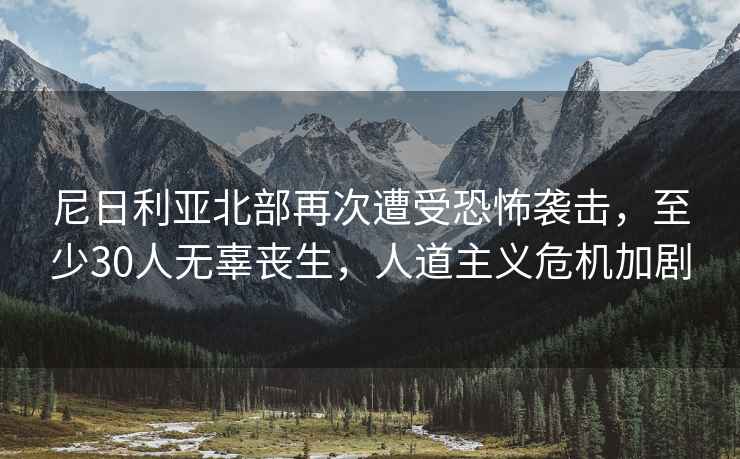 尼日利亞北部再次遭受恐怖襲擊，至少30人無辜喪生，人道主義危機加劇