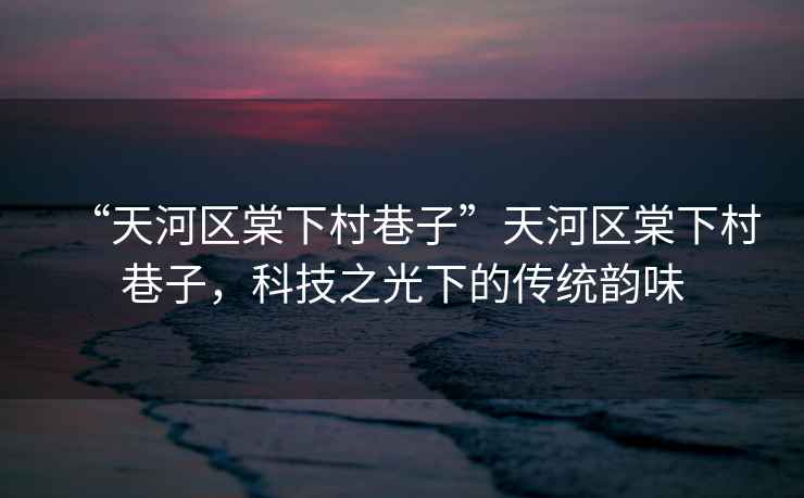 “天河區(qū)棠下村巷子”天河區(qū)棠下村巷子，科技之光下的傳統(tǒng)韻味