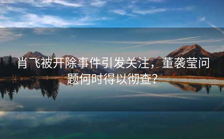 肖飛被開除事件引發(fā)關(guān)注，董襲瑩問題何時(shí)得以徹查？