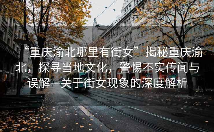 “重慶渝北哪里有街女”揭秘重慶渝北，探尋當?shù)匚幕?，警惕不實傳聞與誤解—關于街女現(xiàn)象的深度解析