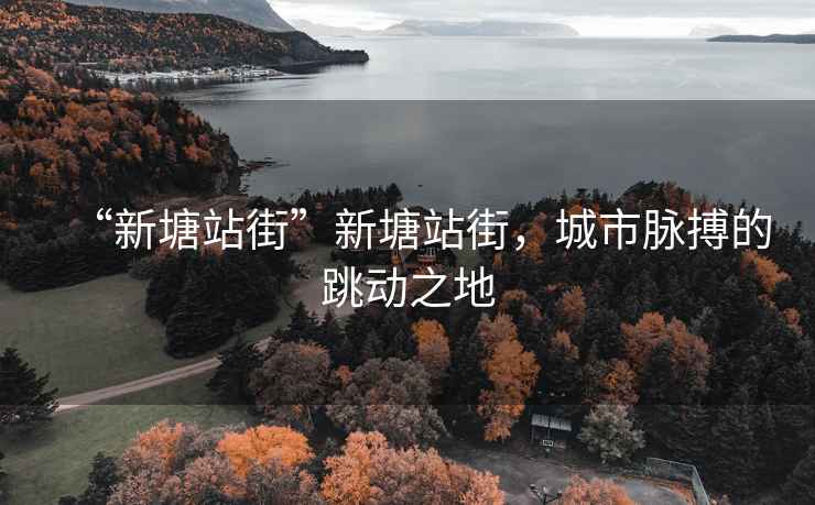 “新塘站街”新塘站街，城市脈搏的跳動之地