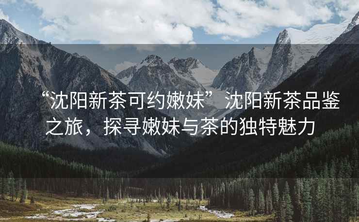 “沈陽(yáng)新茶可約嫩妹”沈陽(yáng)新茶品鑒之旅，探尋嫩妹與茶的獨(dú)特魅力