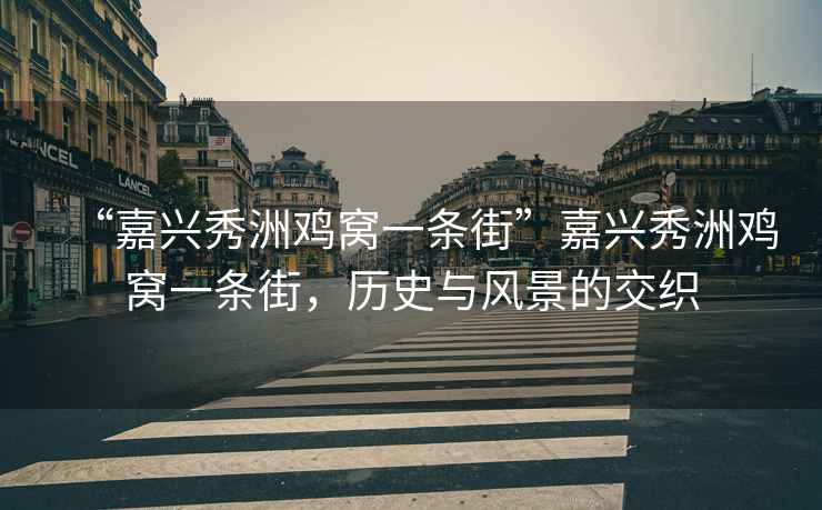 “嘉興秀洲雞窩一條街”嘉興秀洲雞窩一條街，歷史與風(fēng)景的交織