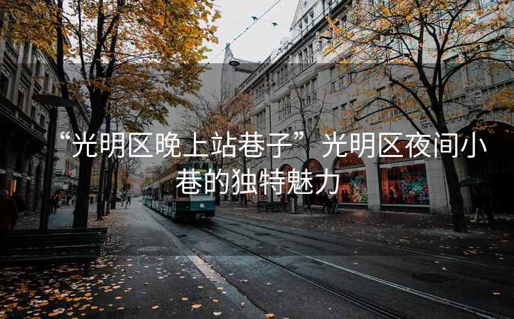 “光明區(qū)晚上站巷子”光明區(qū)夜間小巷的獨特魅力