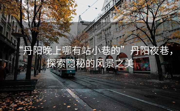 “丹陽晚上哪有站小巷的”丹陽夜巷，探索隱秘的風(fēng)景之美