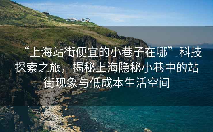 “上海站街便宜的小巷子在哪”科技探索之旅，揭秘上海隱秘小巷中的站街現(xiàn)象與低成本生活空間
